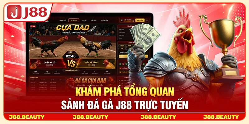 Khám phá tổng quan sảnh đá gà J88 trực tuyến